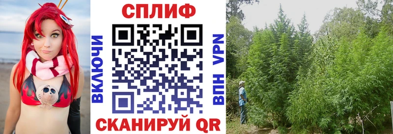 Марихуана OG Kush Чайковский